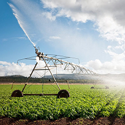 Site Automation Farm | Sentor Controls