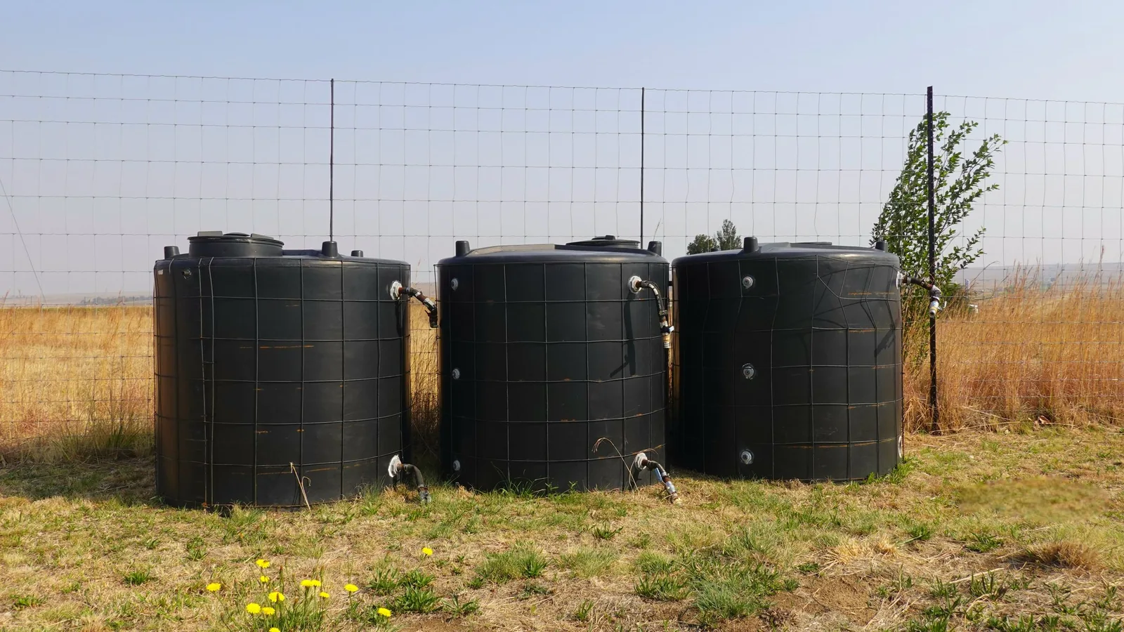 Water storage tanks standing in dry fenced grazing country, the kind of remote water point Sentor monitors so bore visits are made only when a reading calls for one